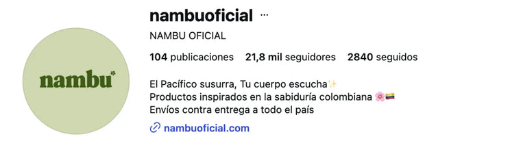 Perfil de Instagram de @nambuoficial con 104 publicaciones y 21,8 mil seguidores